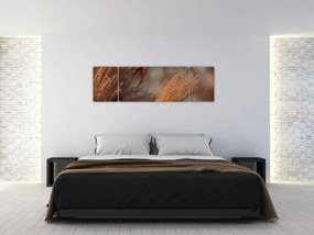 Obraz - Kortaderia (170x50 cm)