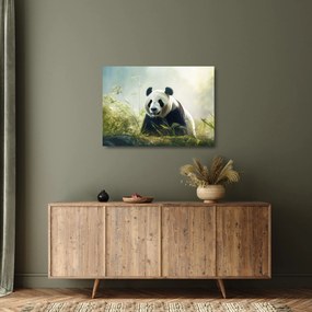 Obraz na szkle - Panda (70x50 cm)