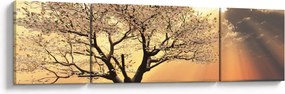 Obraz drzewa na łące (170x50 cm)