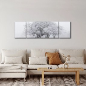 Obraz - Biała zima (170x50 cm)