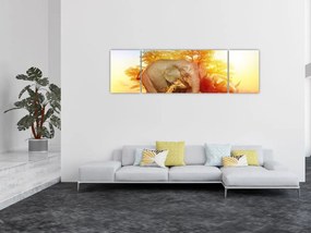 Obraz zwierząt afrykańskich (170x50 cm)