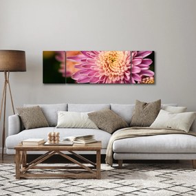 Szczegółowy obraz kwiatu (170x50 cm)