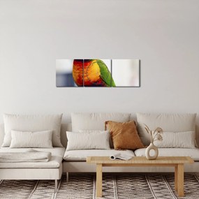 Obraz papugi (z zegarem) (90x30 cm)