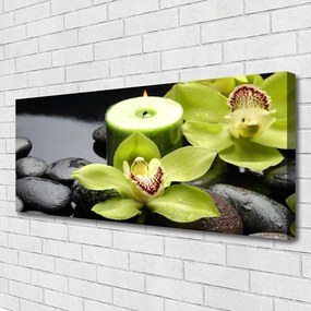 Obraz canvas Elegancja Białej Orchidei