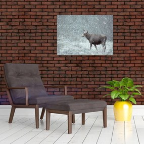Obraz na szkle - Łoś w śnieżnym lesie (70x50 cm)