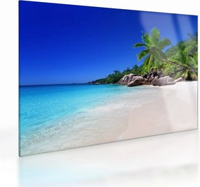 Obraz na szkle - plaża na wyspie Praslin (70x50 cm)
