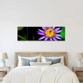 Obraz kwiatu (170x50 cm)