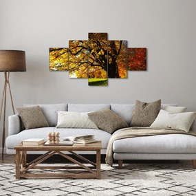 Obraz jesieni (125x70 cm)