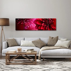Obraz czerwonego kwiatu (170x50 cm)