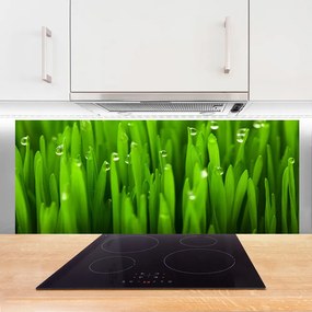 Panel Kuchenny Naturalne Źdźbła Trawy