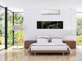 Obraz z czarnego lasu (170x50 cm)
