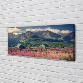 Obraz drukowany na płótnie Góry, Pola i Domki