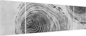 Obraz - Motyw drzewa (170x50 cm)
