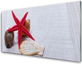 Panel Szklany do Kuchni Oceaniczne Skarby na Piasku