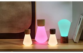Naturalna lampa stołowa ze ściemniaczem (wys. 13 cm) Pentagon – Gingko