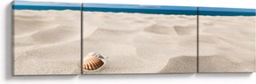 Obraz - Muszle na plaży (170x50 cm)