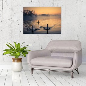 Obraz na szkle - łabędzie na wodzie we mgle (70x50 cm)