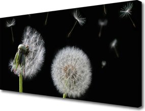 Obraz canvas na ścianę Złocisty Mniszek w Polu