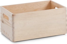 Pudełko do przechowywania z wyjmowanymi przegródkami, 30 x 20 x 15 cm