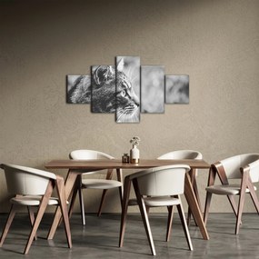 Obraz - Kot (125x70 cm)