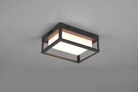 Kinkiet zewnętrzny LED (wys. 24 cm) Witham – Trio