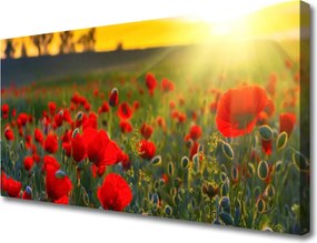 Obraz canvas Pole Czerwonych Maków