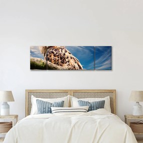 Obraz sowy (170x50 cm)