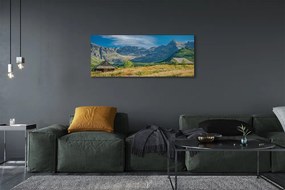 Zdjęcie na płótnie Góry, Pola i Domki