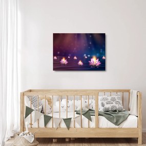 Obraz na szkle - Magiczne lilie wodne (70x50 cm)