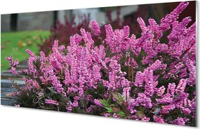 Panel Kuchenny Szklany Gałązki Fioletowych Wrzosów