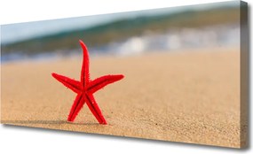 Obraz na płótnie Skarby Morza: Rozgwiazda