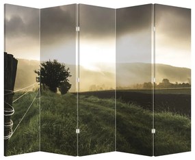 Parawan - Łąka (210x170 cm)