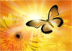 Obraz na szkle - Żółty motyl z kwiatkiem (70x50 cm)