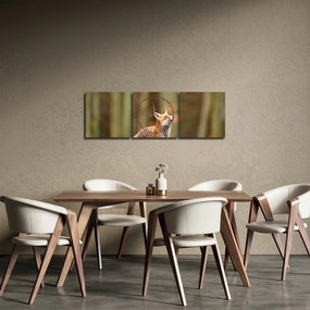 Obraz - Lis (z zegarem) (90x30 cm)