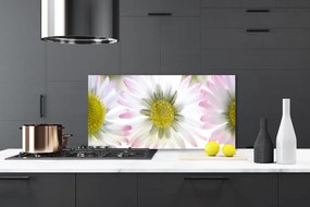 Panel Kuchenny Stokrotka Roślina Natura