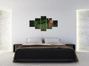 Wizerunek jelonka (125x70 cm)