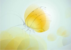 Obraz - Żółty motyl (70x50 cm)