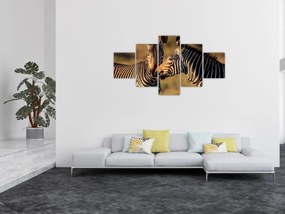 Obraz - Dwie zebry (125x70 cm)