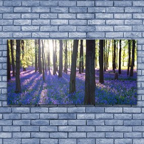 Zdjęcie na płótnie Gęsta Korona Drzew