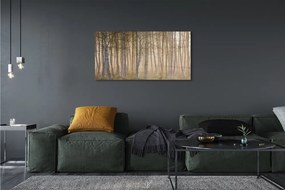 Obraz drukowany na płótnie Wschód Słońca w Lesie