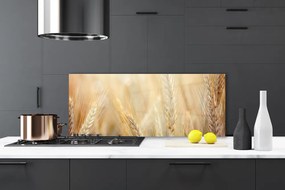Szkło do Kuchni na Ścianę Łany Złotej Pszenicy