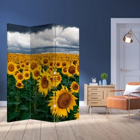 Parawan - Pole słoneczników (126x170 cm)