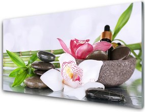 Panel Szklany Egzotyczna Harmonia Roślin