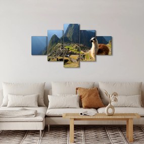 Obraz - Lama i Machu Picchu (125x70 cm)