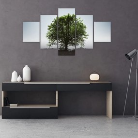 Obraz - Samotne drzewo (125x70 cm)