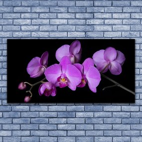 Obraz canvas na ścianę Stylowa Orchidea na Ścianę