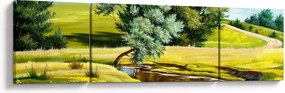 Obraz - rzeka między łąkami, obraz olejny (170x50 cm)