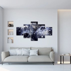 Obraz owoców z kroplami wody (125x70 cm)