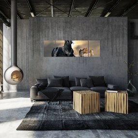 Obraz - Konie (170x50 cm)