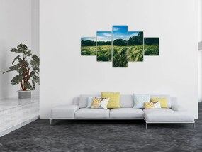 Obraz łąki i lasu (125x70 cm)